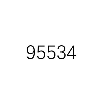 95534