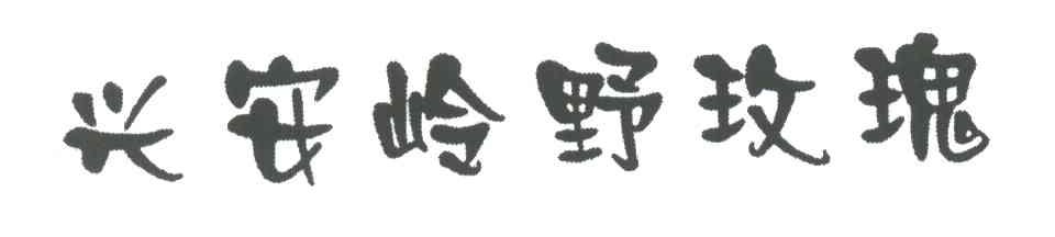 兴安岭野玫瑰
