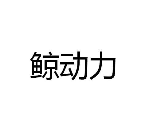 鲸动力