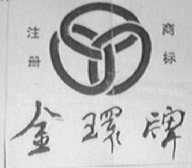 金环