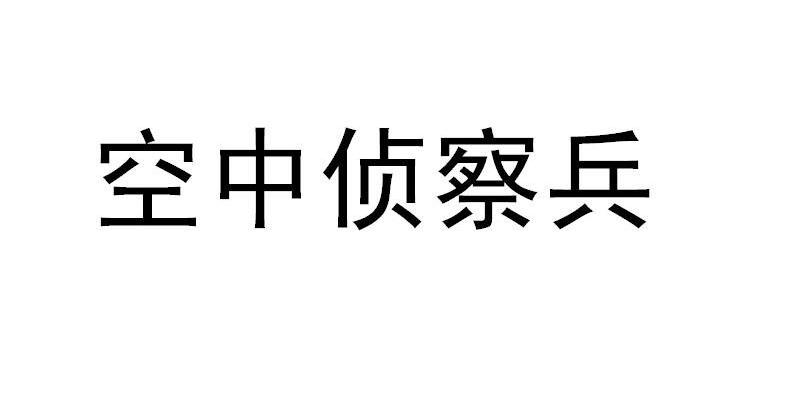 空中侦察兵
