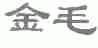 金毛