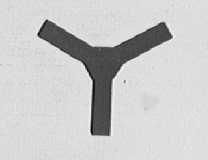 Y
