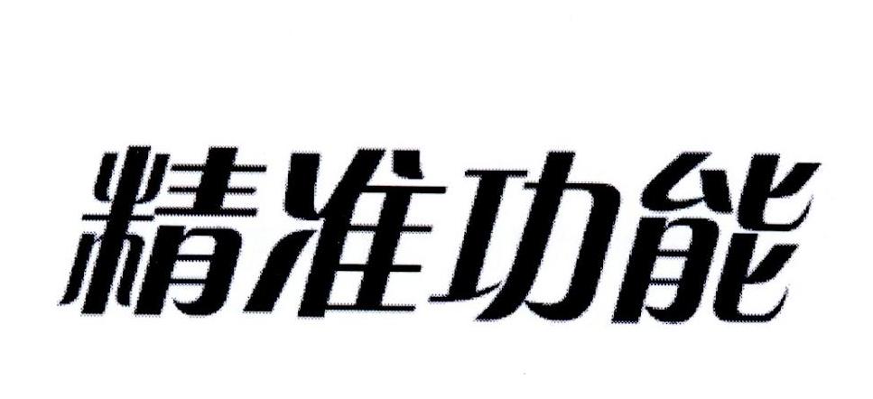 精准功能