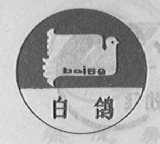 白鸽