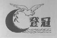登冠