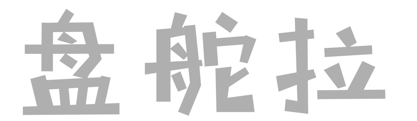 盘舵拉