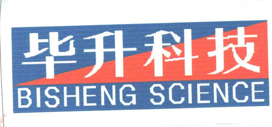 毕升;BISHENG