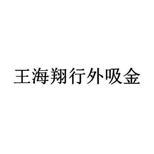 王海翔行外吸金
