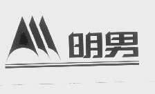 明男