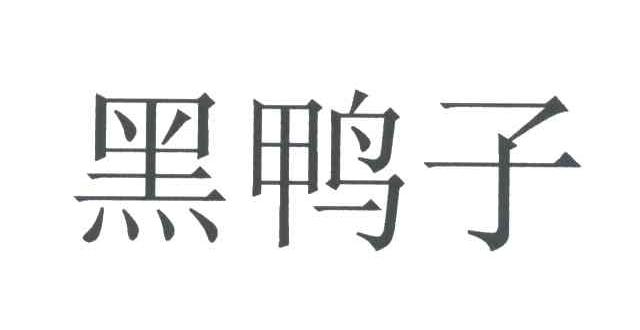 黑鸭子