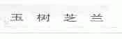 玉树芝兰