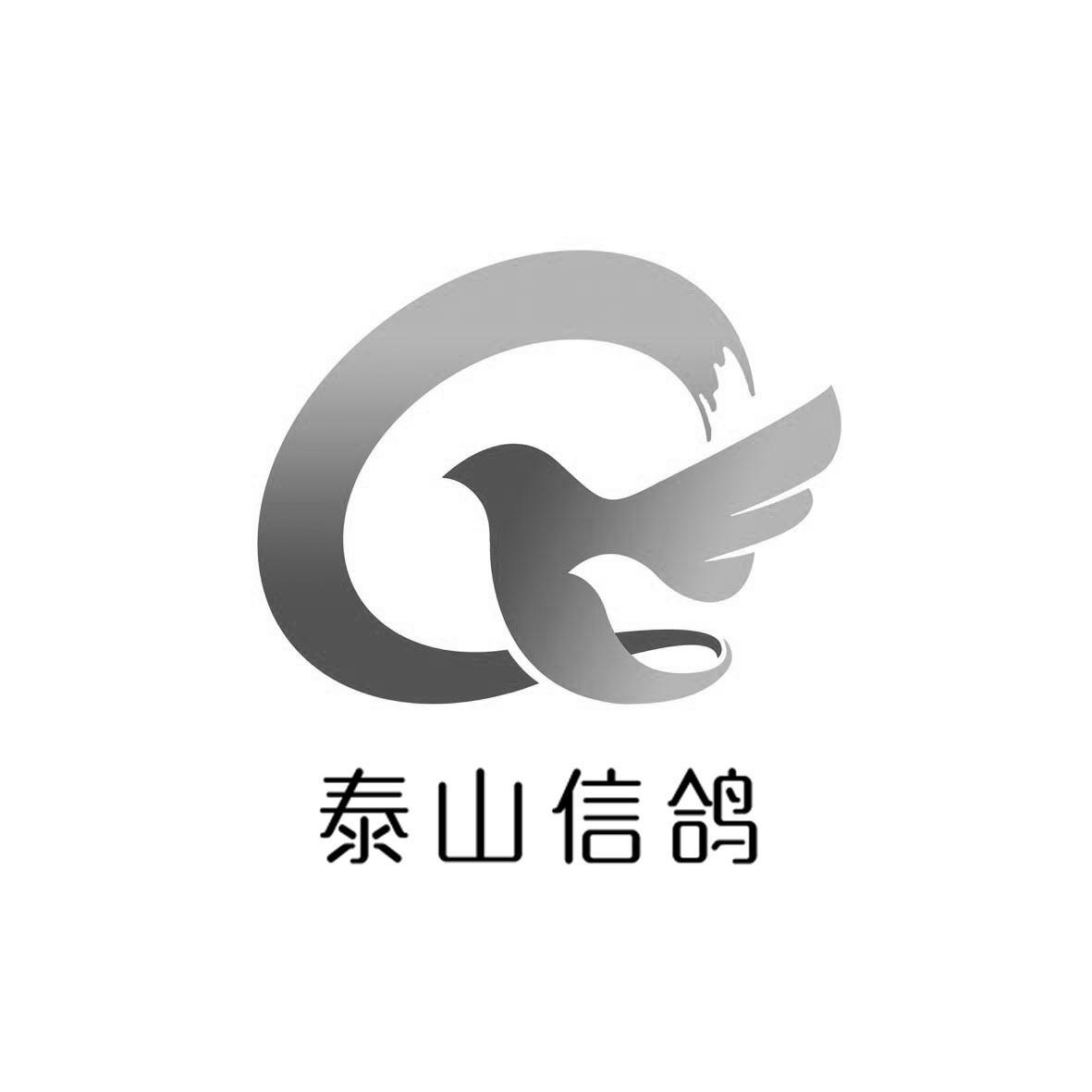 泰山信鸽