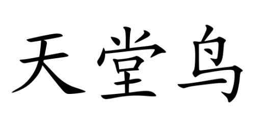 天堂鸟