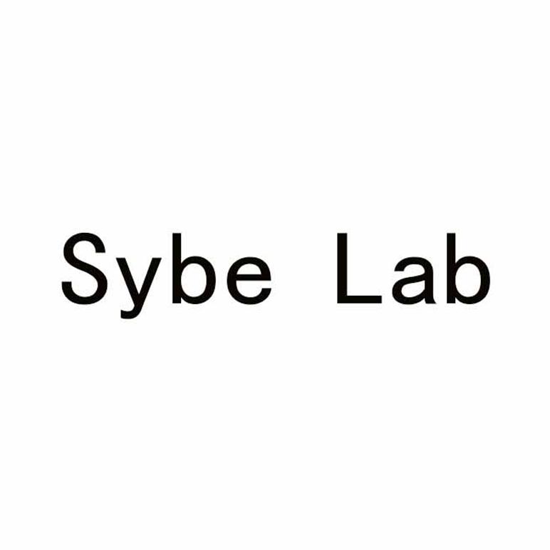SYBE LAB