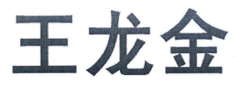 王龙金