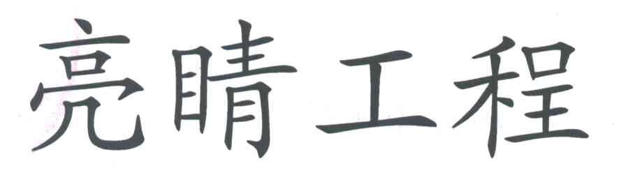 亮睛工程