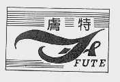 肤特