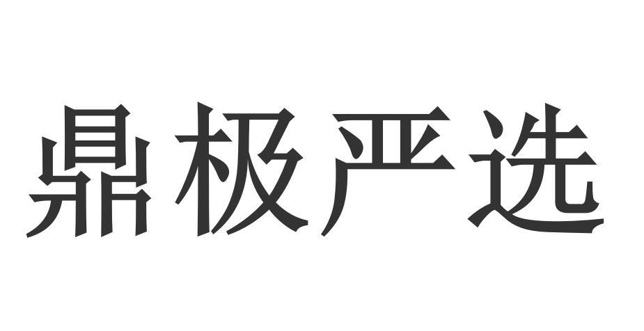 鼎极严选