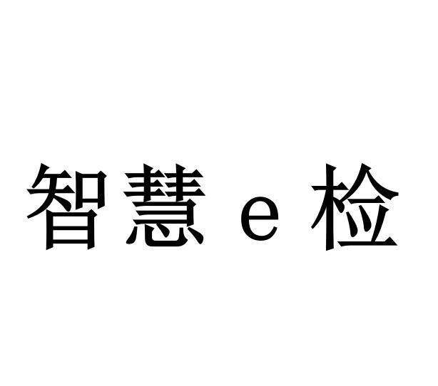 智慧E检