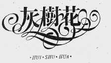 灰树花