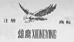 雄鹰