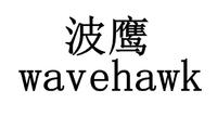 波鹰 WAVEAHWK