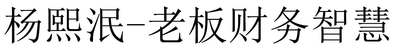 杨熙泯-老板财务智慧