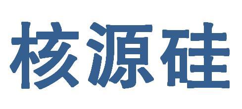 核源硅