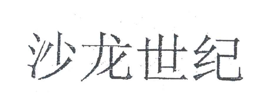 沙龙世纪