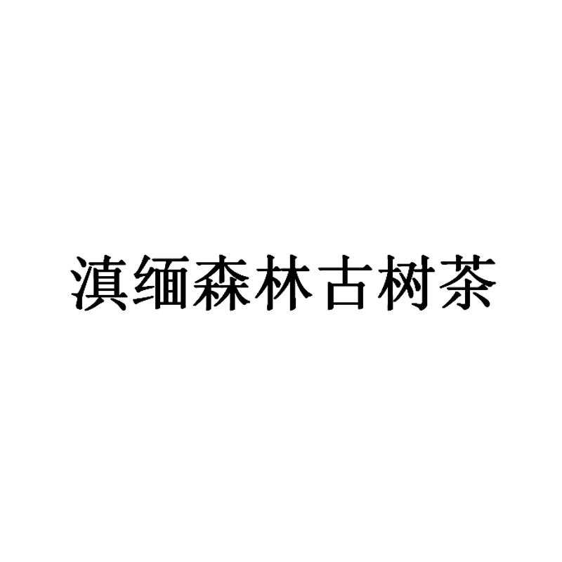 滇缅森林古树茶