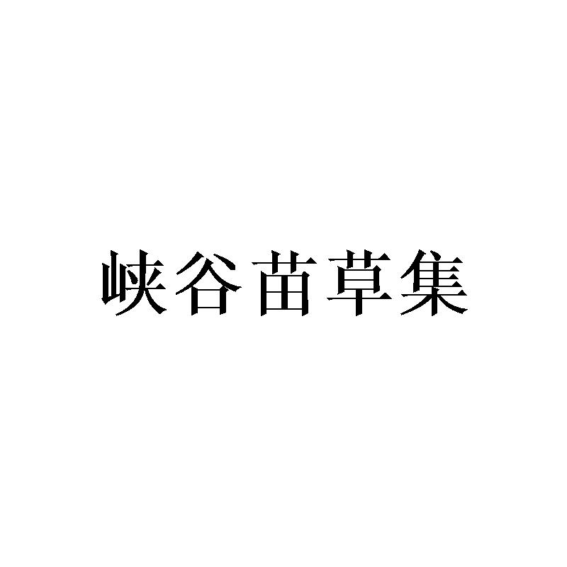 峡谷苗草集