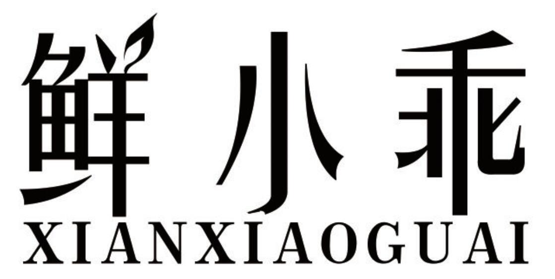 鲜小乖