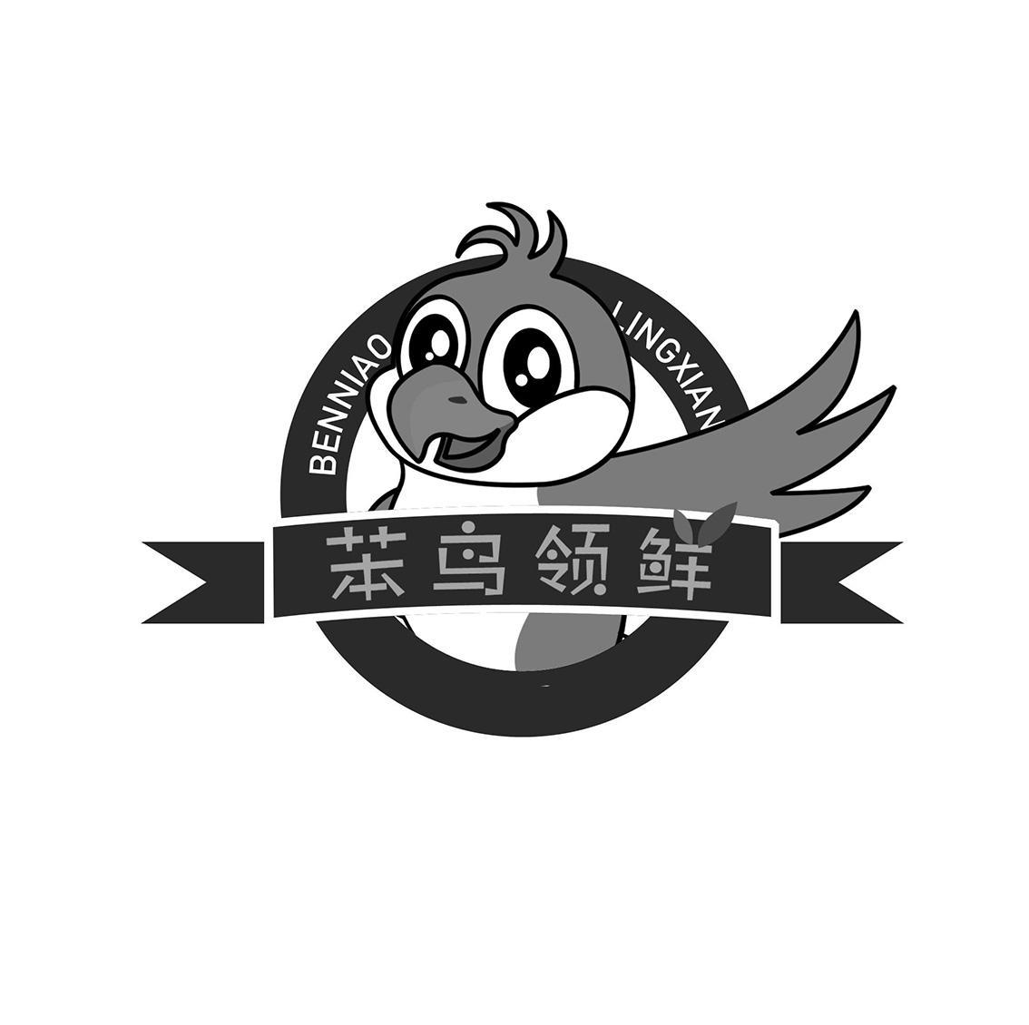 笨鸟领鲜