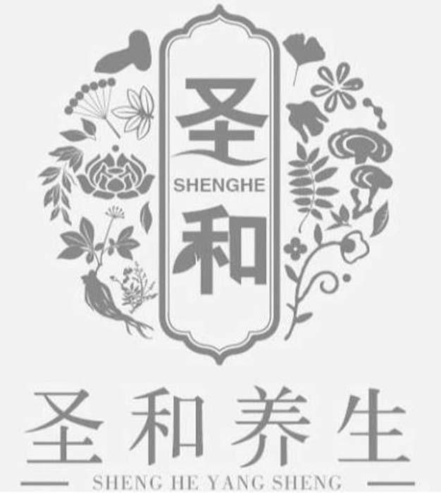 圣和 圣和养生