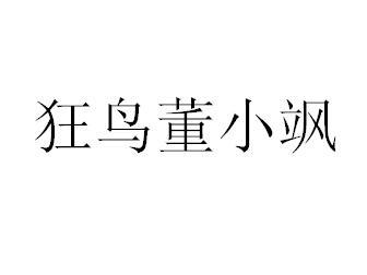 狂鸟董小飒