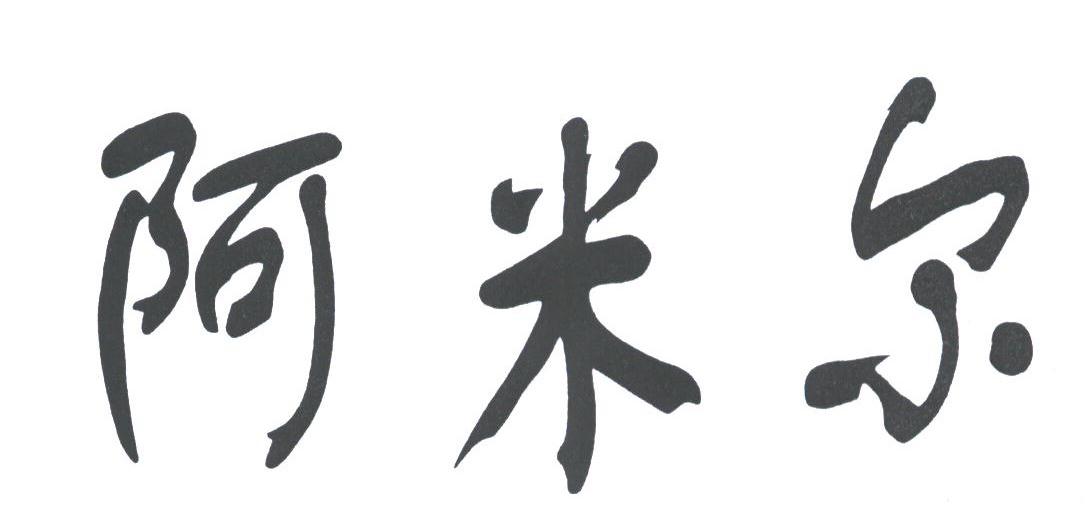 阿米尔