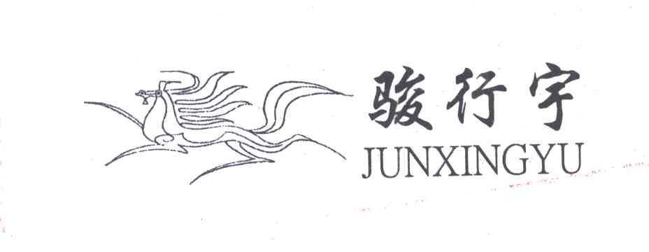 骏行宇及图形