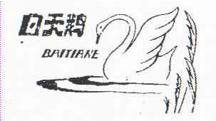 白天鹅