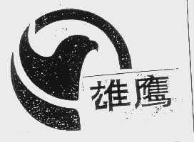 雄鹰