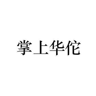 掌上华佗