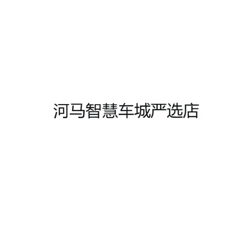 河马智慧车城严选店