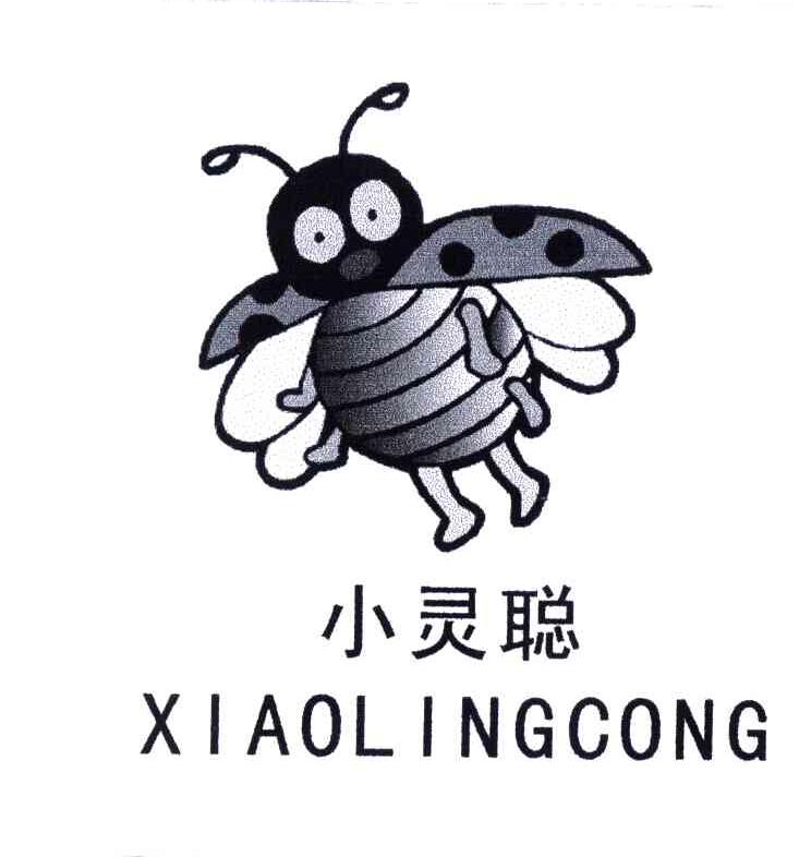 小灵聪