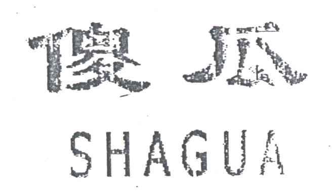 傻瓜