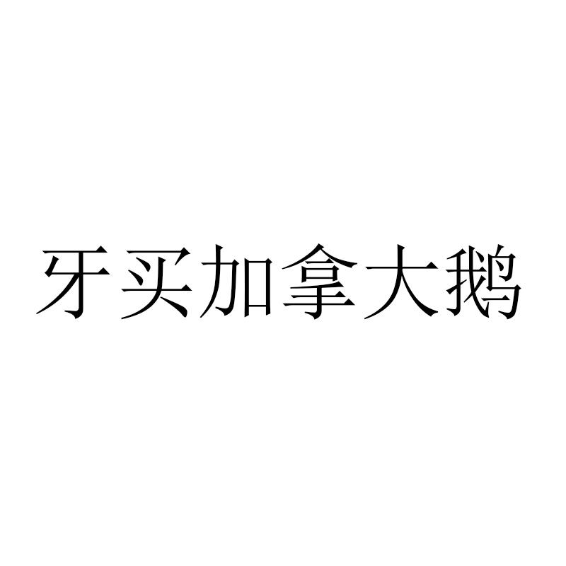 牙买加拿大鹅