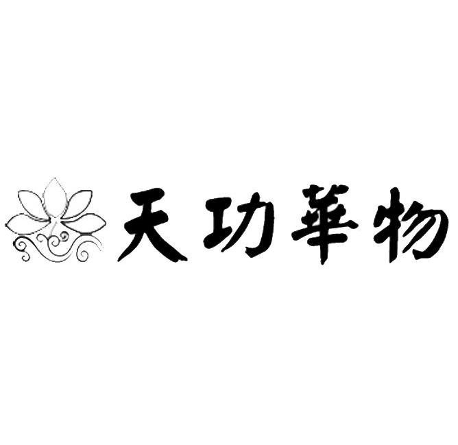 天功华物