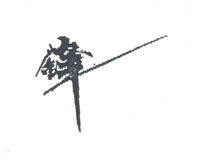 锋