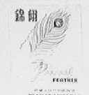 锦翎