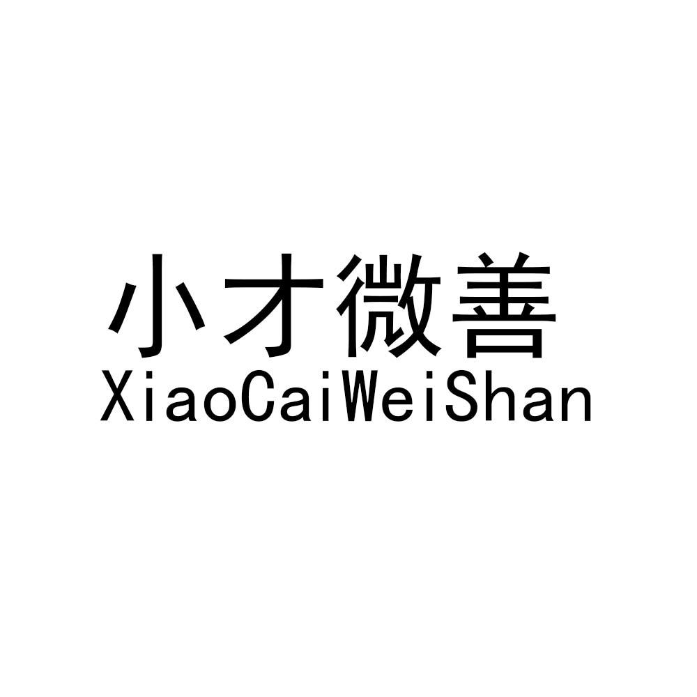 小才微善