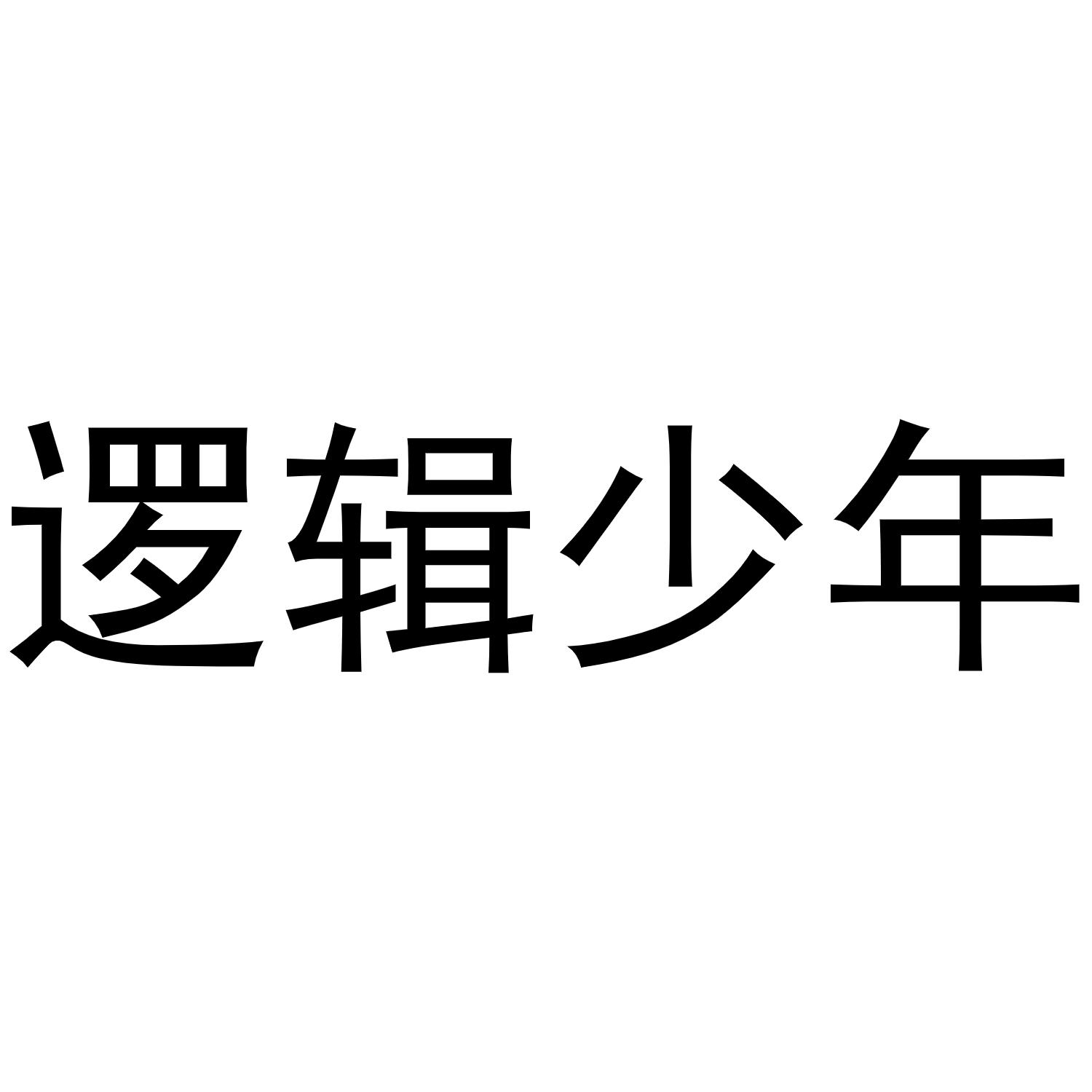 逻辑少年